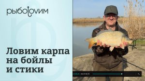 Ловим весеннего карпа. Использую стики из ПВА сетки. Отличный клев. Рассказываю про снасти.