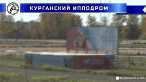 Заезд 2 - Приз "ИППИКА" для лошадей орловской рысистой породы 3-х лет. 2400 м.