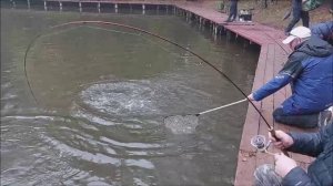 Форелевые баталии на спорт-зоне. Клёвое место, Лосиный остров.