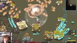 #Nimrods - день 24. В поисках последних ящиков!