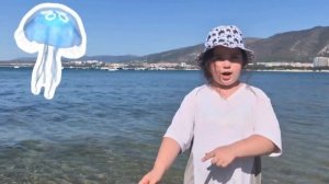 Знакомство с медузами