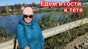 Какие дома на садоогороде 🏡