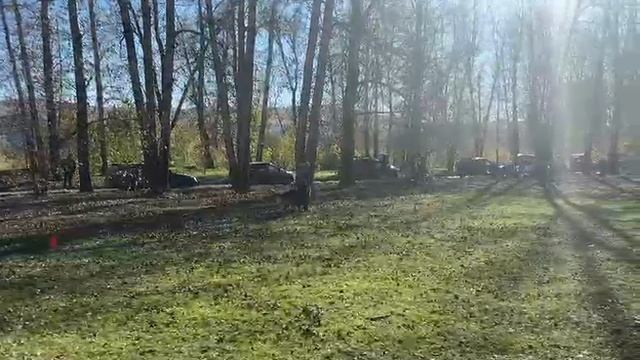 1.  выражено/пож TIM LIECHTENSTEIN-OST YAR (Kleoshloss Neapol – Negus Karil*S Zhanetta)