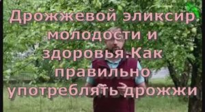 Дрожжевой эликсир молодости и здоровья как правильно употреблять дрожжи