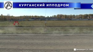 04.10.2025 - Заезд 7: для лошадей орловской рысистой породы 2-х лет. Приз "Памяти Дворянцева", 1600м