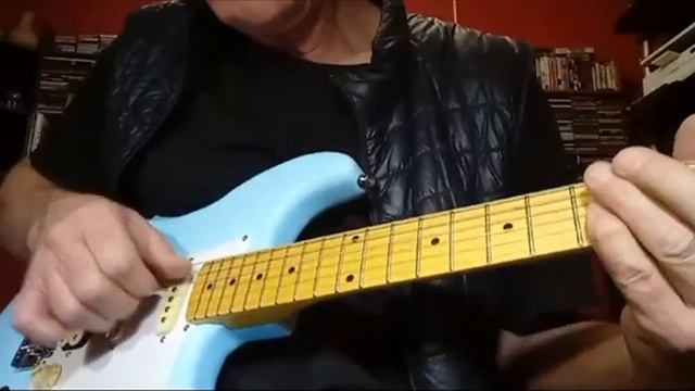 PALKER GUITARS