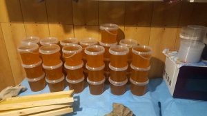Завершения сбора мёда, обзор результатов. 31 августа 2025 года.