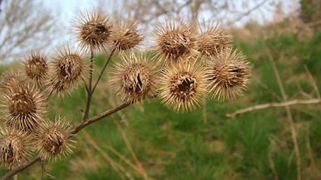 Обсуждение_Тема_№_13__Путь_Креста__ч_2