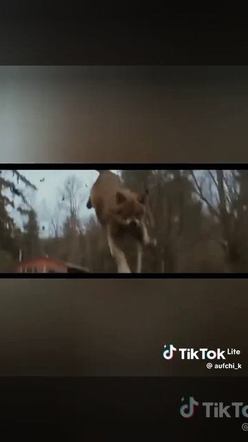 ну не знаю