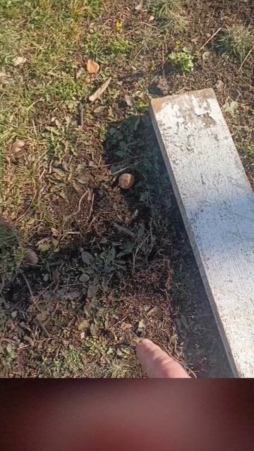 Опровержение - фильм 1.