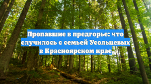 Пропавшие в предгорье: что случилось с семьей Усольцевых в Красноярском крае