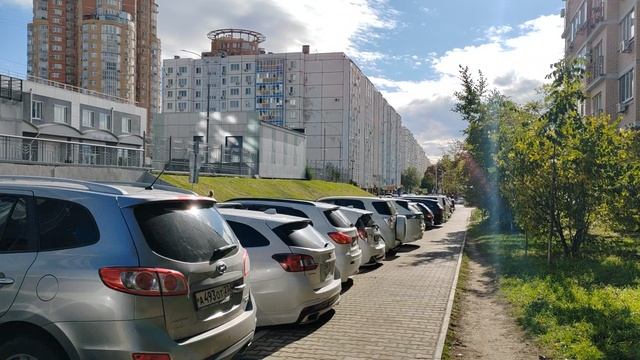 486. Хабаровск.  Запарина 55 - Дендрарий. 08.10.25.