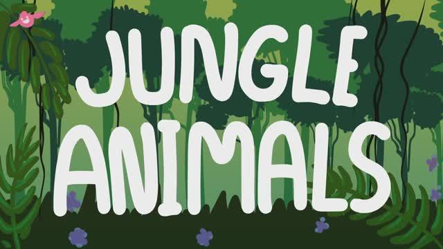 Who's In The Jungle? | Песенка про животных для детей | Lilla The Lamb