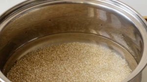 Молоко из киноа