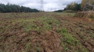 подготавливаем арендованный участок к севу д. Горки 5Га