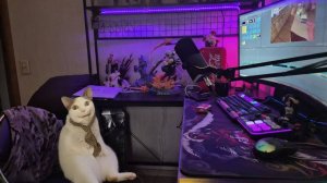 The Mortuary Assistant