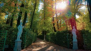 Летний сад в осеннем убранстве