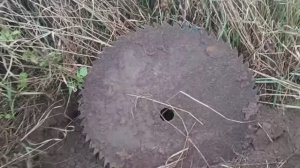 Металлокоп ⚙ Сигналы на каждом шагу