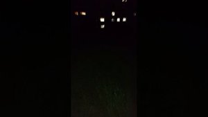 убегаем от серенаголового