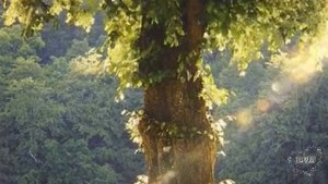 Истории из жизни. Секреты офисного флирта. Рассказы онлайн