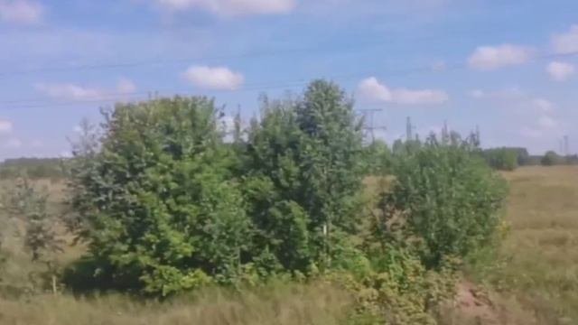 Лето, Удмуртия за окном поезда