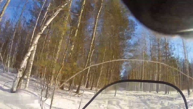 ЗМУ Полевые работы