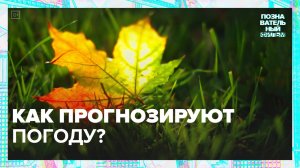 Как прогнозируют погоду? | Познавательный фильм — Москва 24