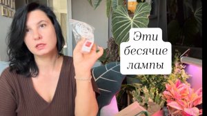 Эти бесячие лампы