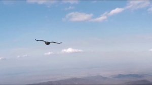 Волшебные звуки вселенной