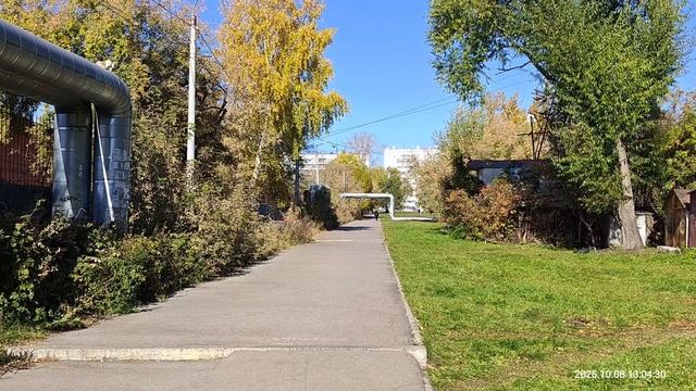 Всё таки бабье лето?