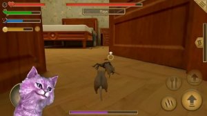 СИМУЛЯТОР Маленькой МЫШИ #6 ИЩЕМ ПОДАРКИ для СУПРУГИ говорящая КОШКА ЛАНА играет