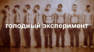 Миннесотский «голодный» эксперимент. Почему строгие диеты не работают? Что такое голод? || Ариамис