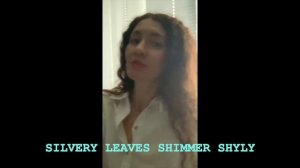 Silvery leaves shimmer shyly | tongue-twister