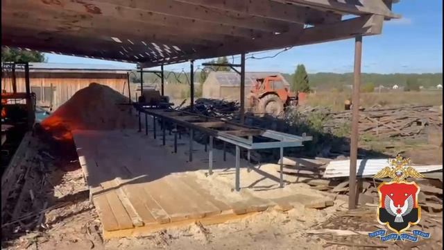 В Удмуртии в суд направлено уголовное дело по незаконной рубке леса на сумму более 37 млн рублей