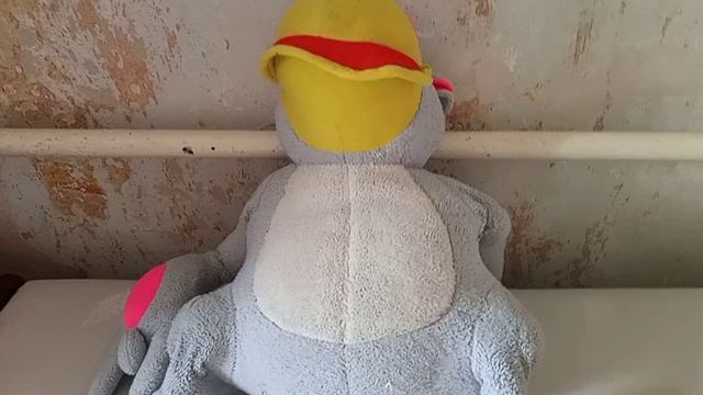VID_20251008_101615.mp4
