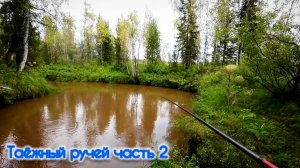 ч.2 ПОКЛЁВКИ НА КАЖДОМ ЗАБРОСЕ / НЕРЕАЛЬНАЯ РЫБАЛКА