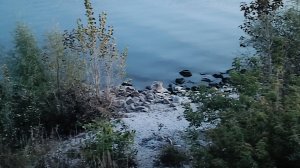 Бычек и два Язя