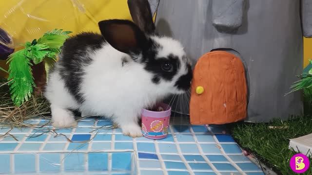 УГАДАЙ, ЧТО НА КАРТИНЕ?**СЛАЙМ ЧЕЛЛЕНДЖ для ХОМЯЧКОВ** РИСУЕМ СЛАЙМОМ** смотреть онлайн