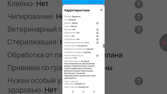 1000смотрю собаку