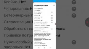 1000смотрю собаку