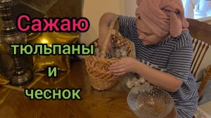 🏡 Жизнь в деревне 7 октября 2025