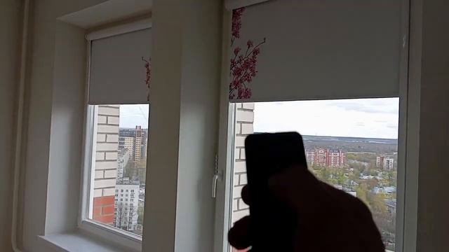 Рулонные шторы Uni с электроприводом  Управление пульт  Ткань Альфа блэкаут с фотопечатью  2 SVIL