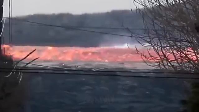 Интересные Моменты Снятые На Камеру