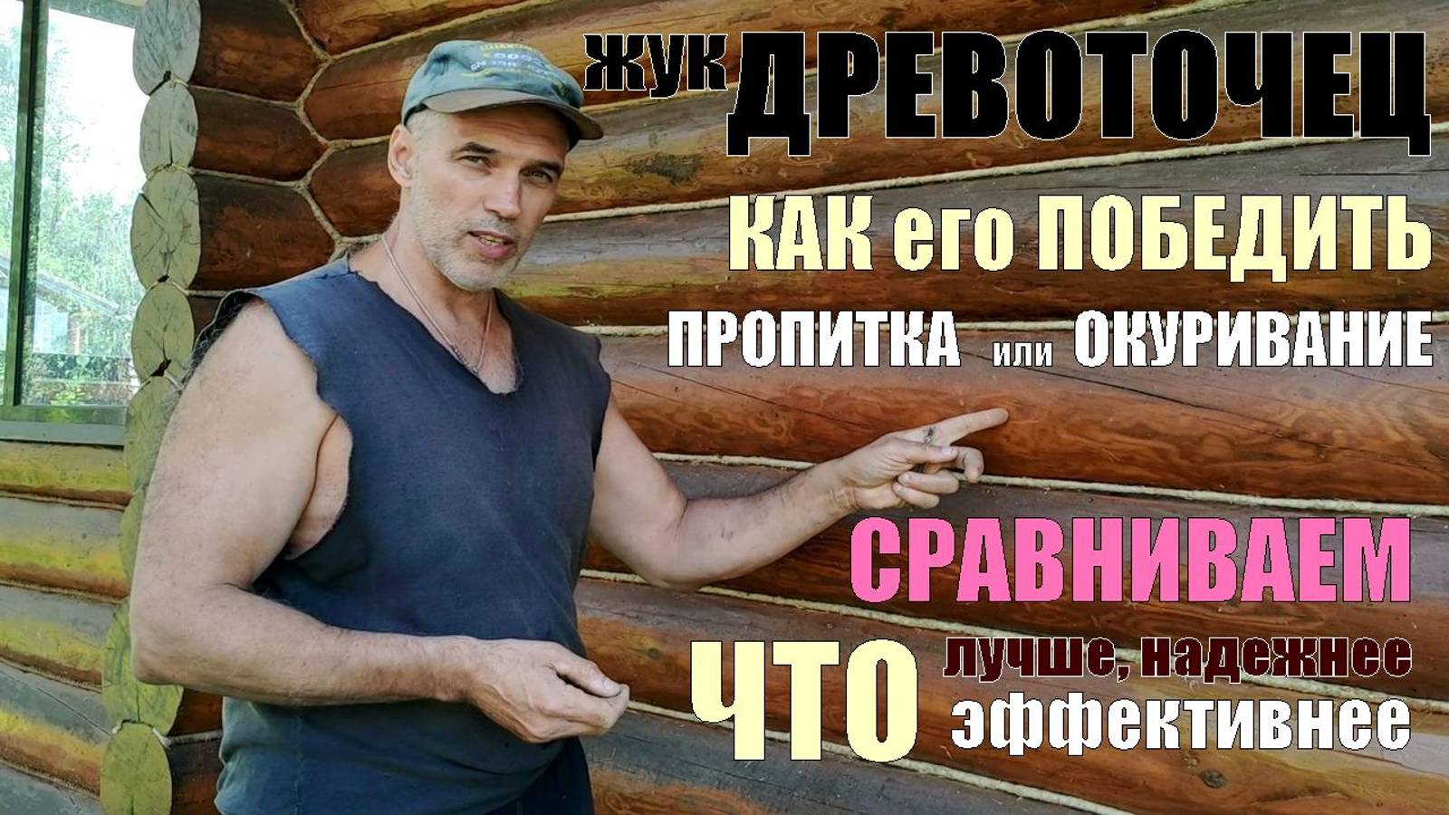 Лечим сруб от жука ДРЕВОТОЧЦА и КОРОЕДА! Что предлагают и КАК это работает - УЗНАЙ, что ЭФФЕКТИВНЕЕ