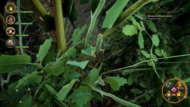 Dragon Age Inquisition #18