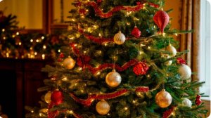 Как правильно начать год, чтобы он стал продуктивным и удачным