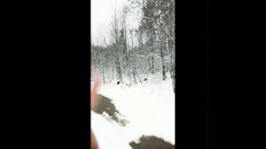 10ооокааккаттатаяяаббараряраяраяяээтаттааттооаяаяявевееаяяаяаананоояаамаммм!!!!!2200252255гг...!!!!!