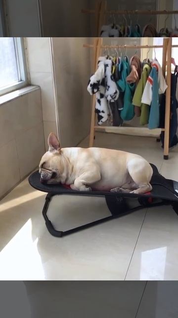 С бодрым утром