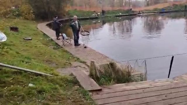 Блесна.Форель
