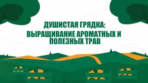 Как вырастить ароматные и полезные травы